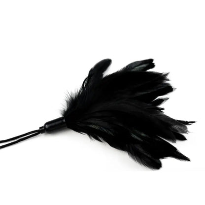 Crna golicaljka Feather Tickler Black