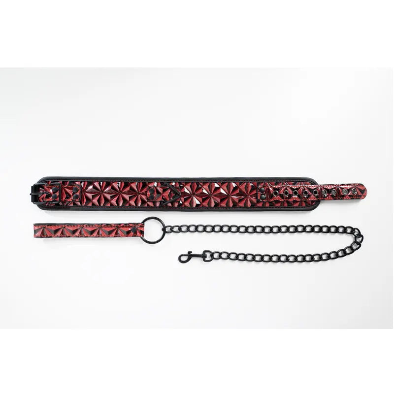 Crveni povodac Red Collar and Leash