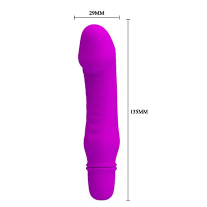 Mali ljubičasti vibrator 10 funkcija vibracije